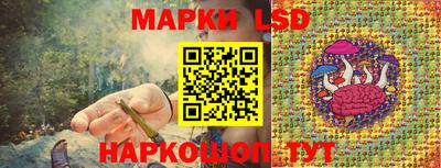 spice Бузулук