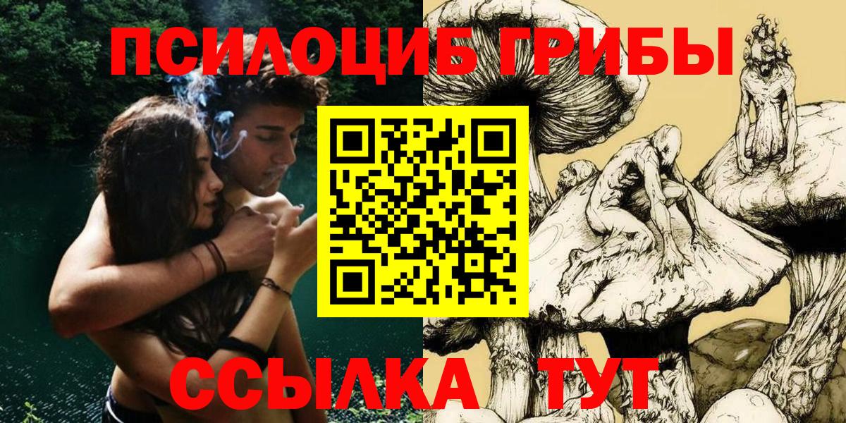 Псилоцибиновые грибы Cubensis Самара